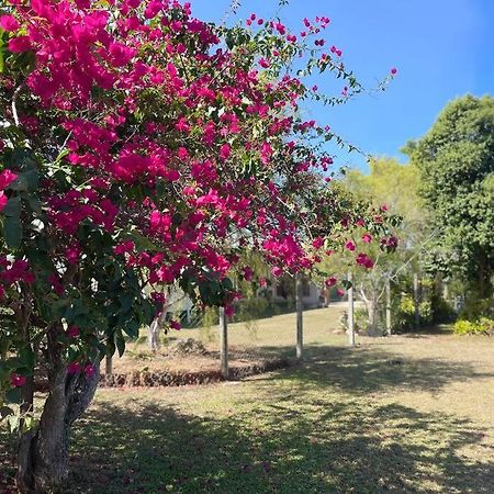 فيلا Cosy Queenslander In The Heart Of Town. ماريبا المظهر الخارجي الصورة