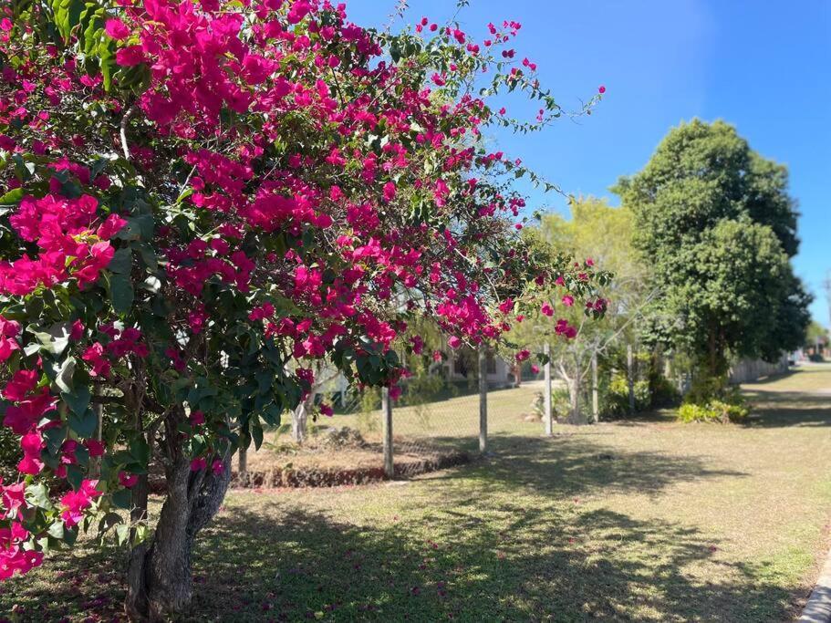 فيلا Cosy Queenslander In The Heart Of Town. ماريبا المظهر الخارجي الصورة